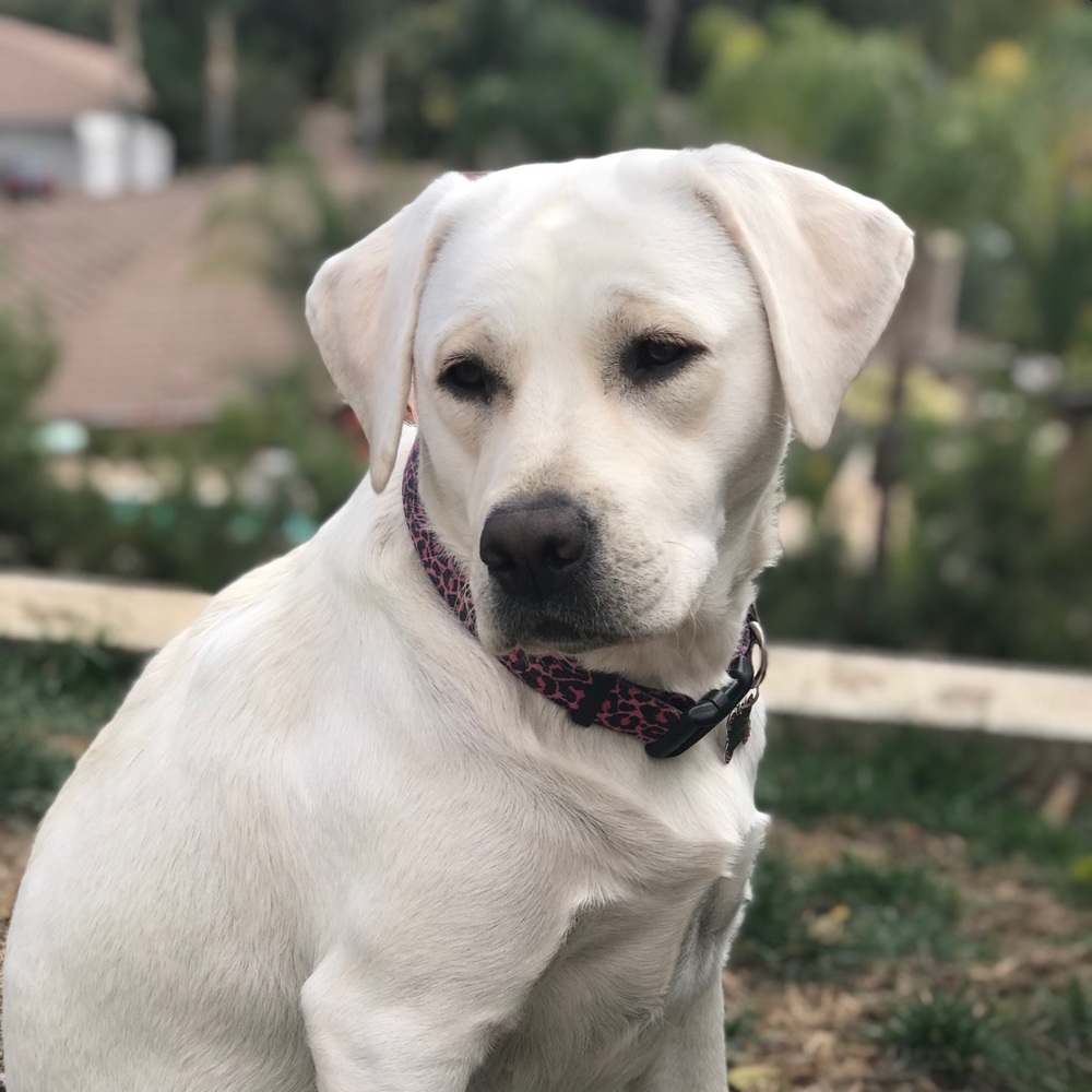 Meet your Posher, Sydnie